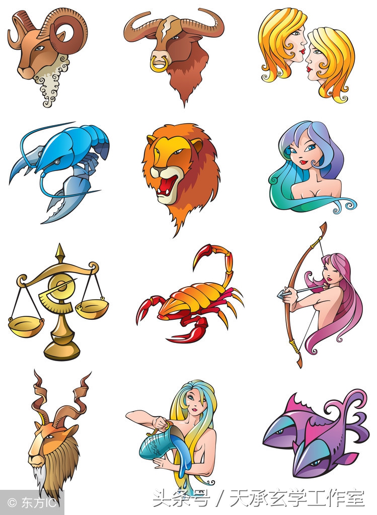 八字解说十二生肖,十二生肖三合局论命理