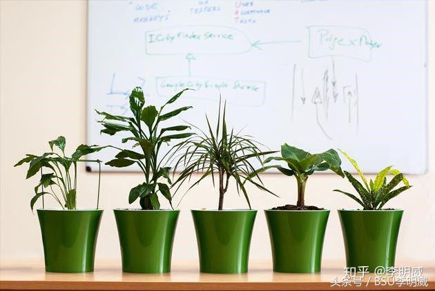 拉伸骨盆的正确方法,改善骨盆前倾的拉伸动作