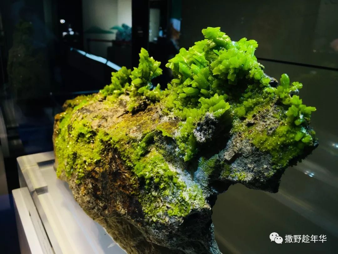 矿物精品展｜地壳深处的彩虹与少女心