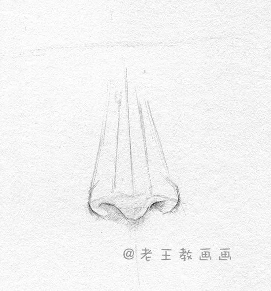 素描五官之鼻子结构图解,鼻子人脸素描画法视频教程