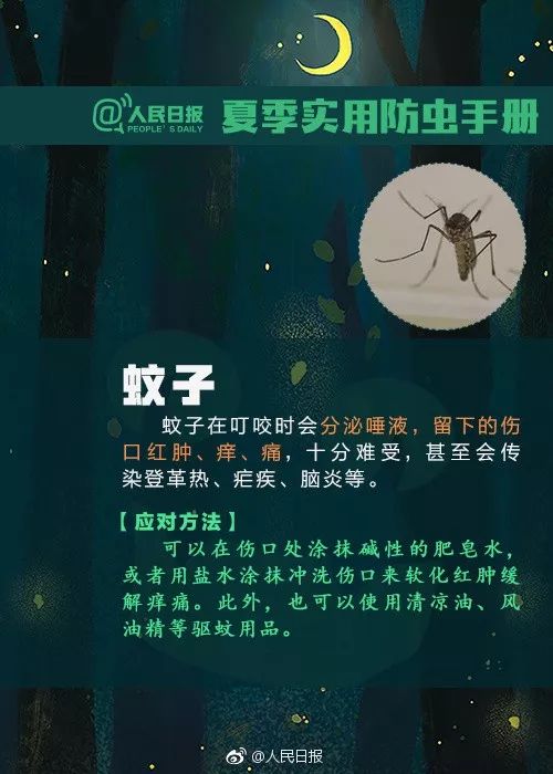 捉一只奖8元！广州全城“捉拿”的锥蝽，究竟是什么虫？