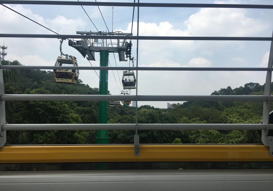 广州长隆野生动物世界之行,广州长隆野生动物世界游玩攻略图