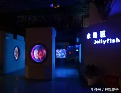 这个夏天去北京旅游好玩吗,夏天适合去的海底世界