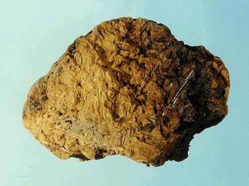 经典养生药酒方,滋补药酒的最佳配方