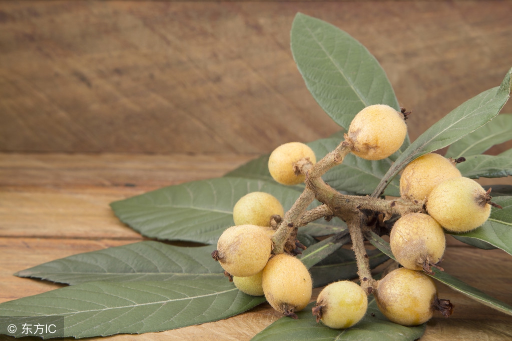 沐浴露艾叶,艾叶奢养沐浴露