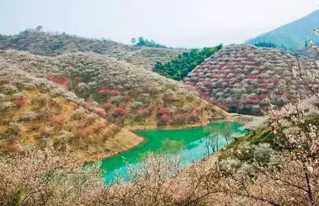 这竟然是农村！中国最美乡村Top10，有你家乡吗？