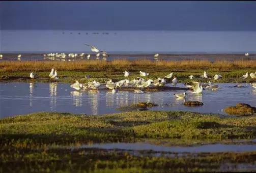 孟达天池与孟达自然保护区,西宁孟达天池旅游攻略