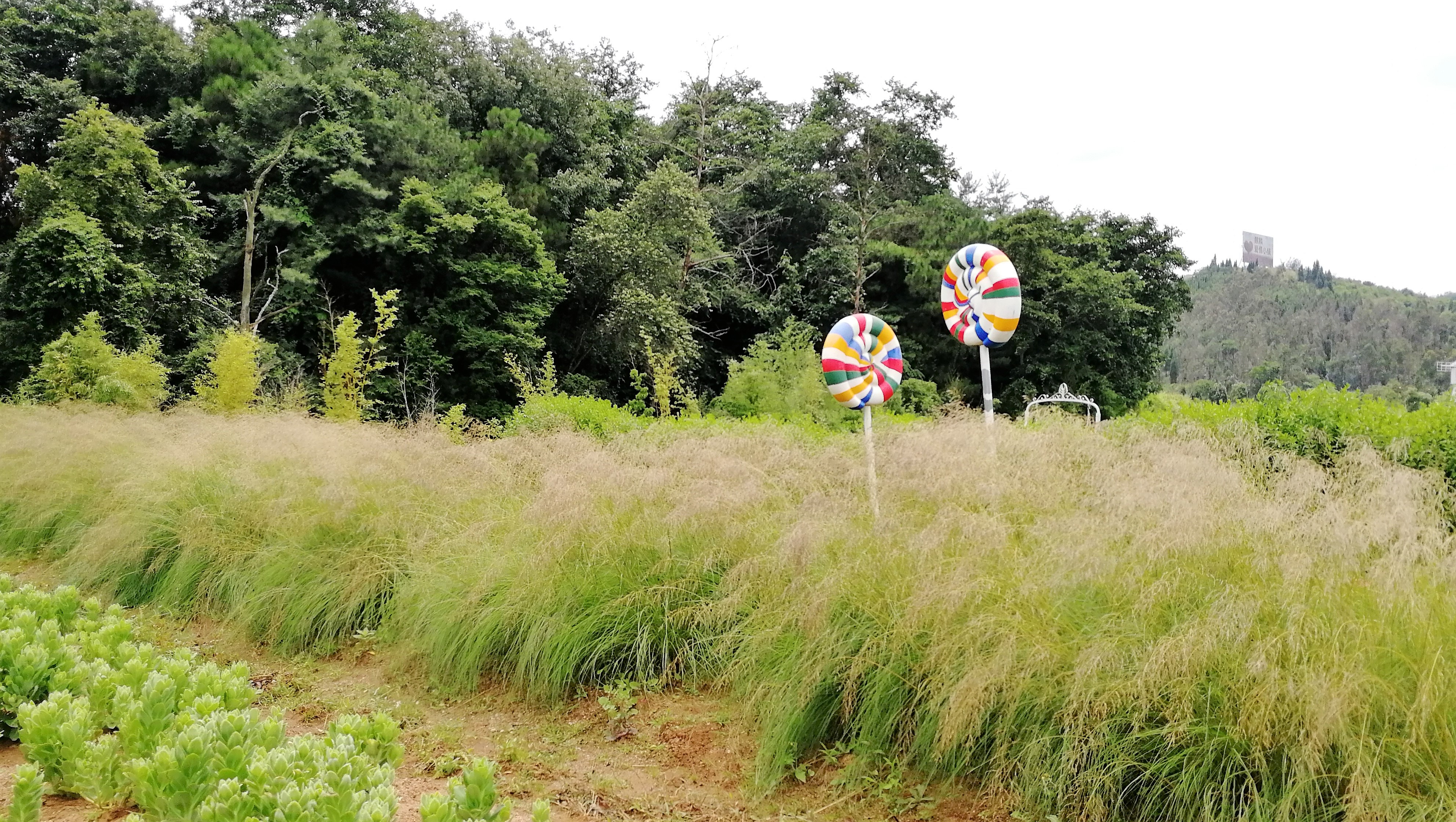 看花海，泡温泉，吃美食，周末就来这里！