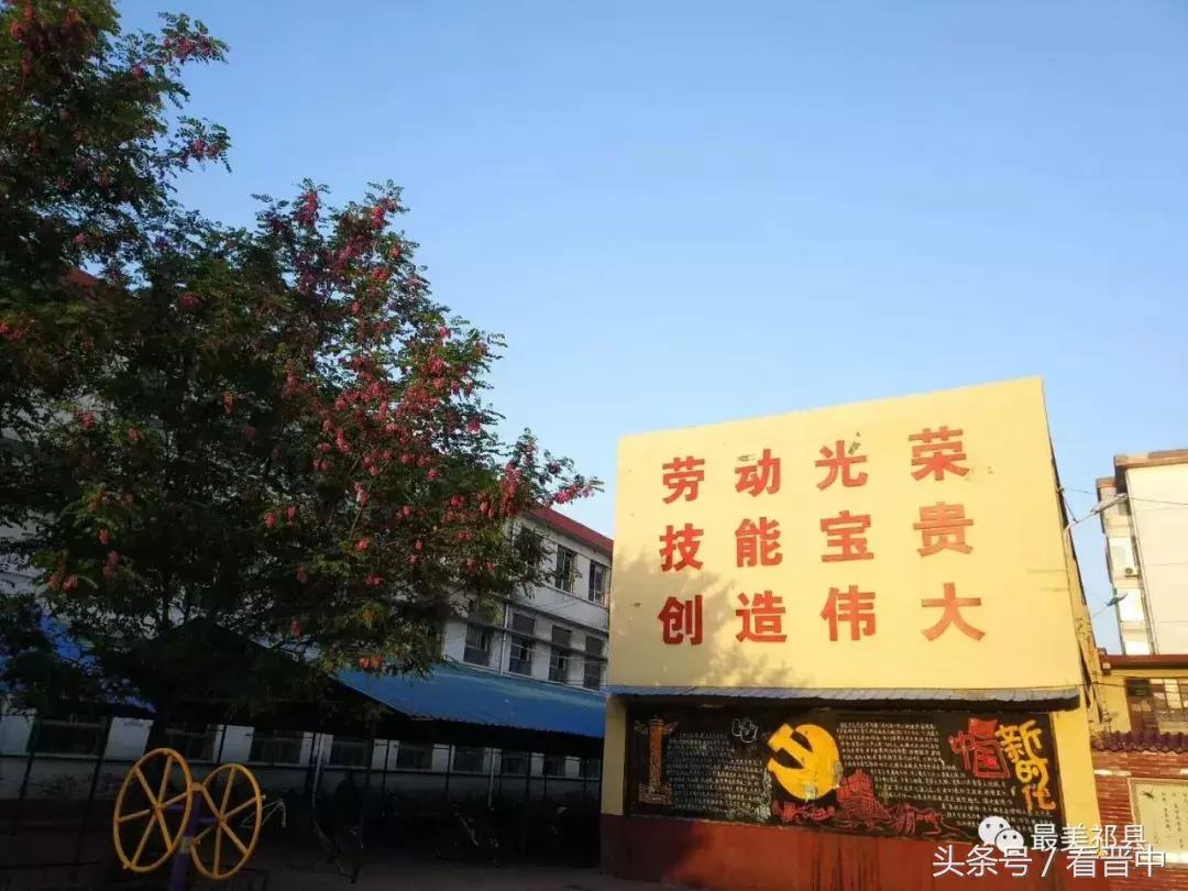 情系职中(杨保卫)