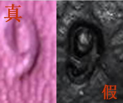 花3万买一个二手包包,花3万买的包