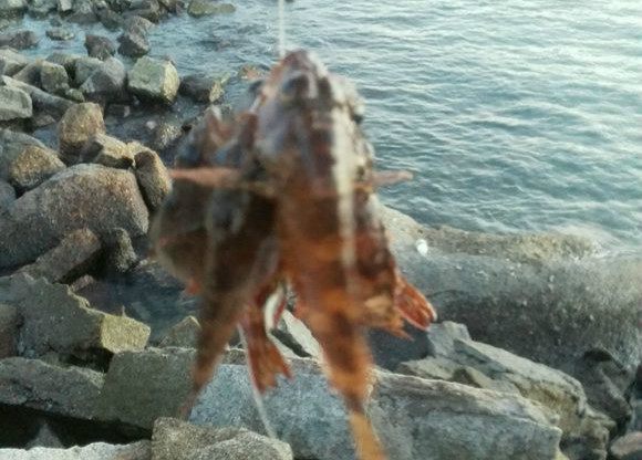 海钓的快乐你想不到,海钓确实过瘾但也很危险