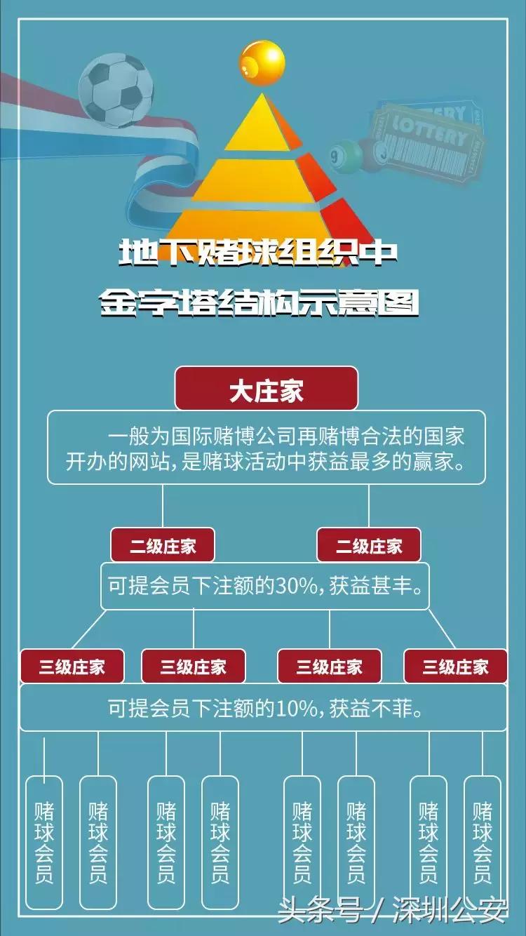 网络赌球背后骗局视频,网络赌球骗局揭秘视频