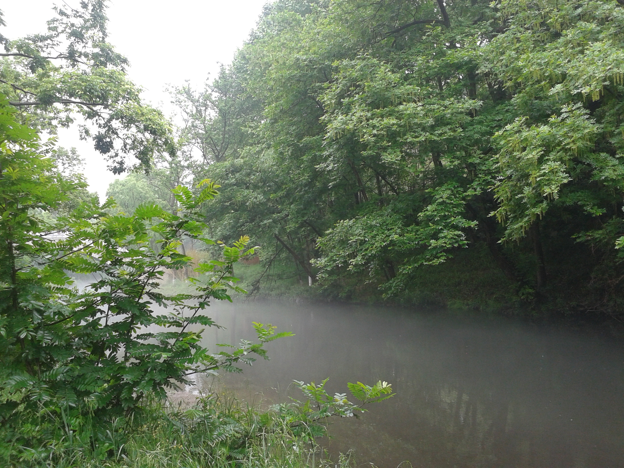阿哈湖有什么景点,阿哈湖风景区