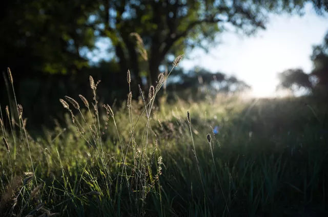 苹果摄像头有水雾怎么办,苹果11前置摄像头有水雾怎么处理
