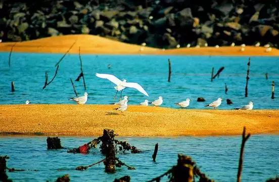 石家庄北戴河旅游景点,去北戴河不容错过的地方