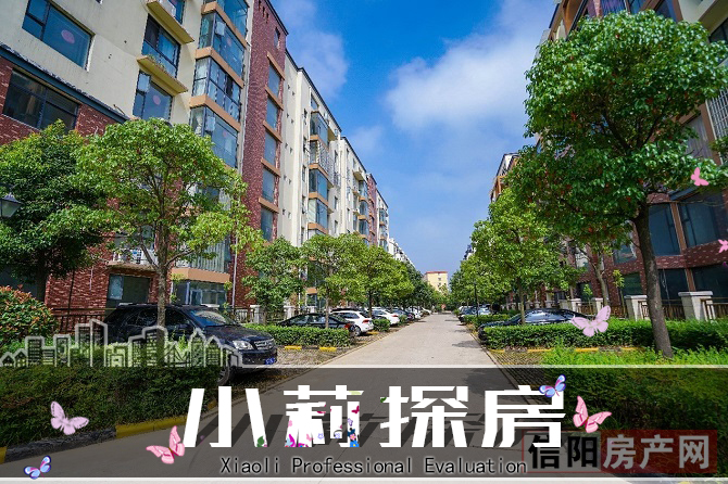 信阳浉河风景房,河南信阳浉河河景