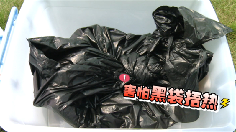 成都被毒虫咬伤去哪家医院,多名被蜱虫咬伤的患者