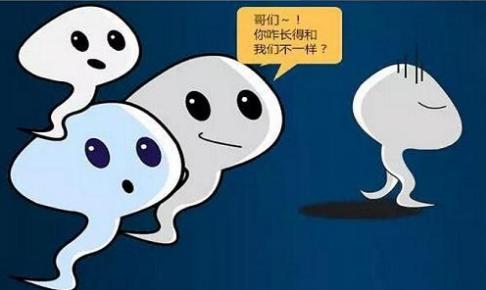 孙老师备孕视频教程,孙老师备孕系列课