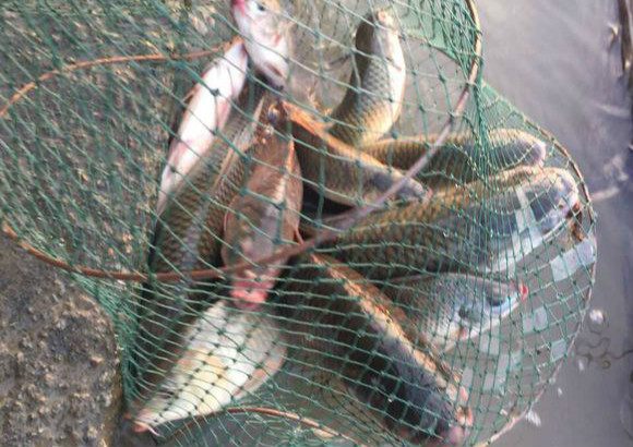 一不小心钓鱼上瘾,刚钓鱼就上瘾