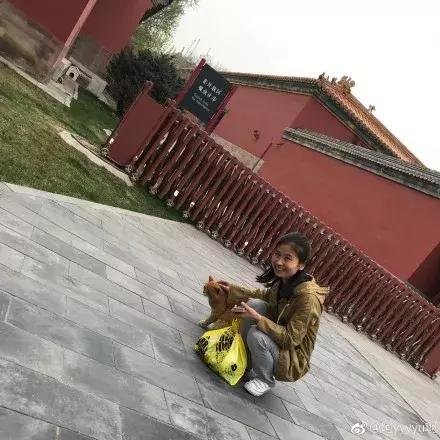 故宫的猫去世了吗,故宫的猫怎么去世的