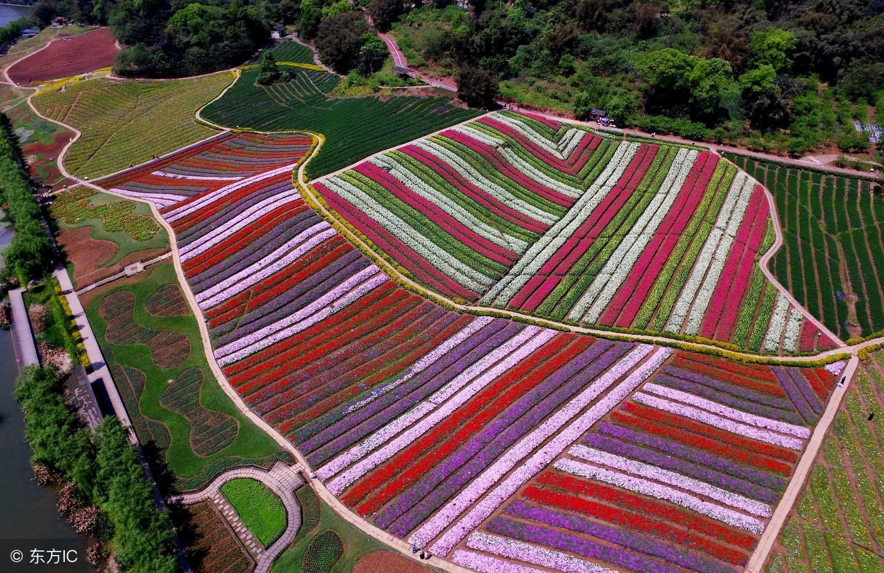 互联网农业四个领域值得布局,未来5年互联网农业发展