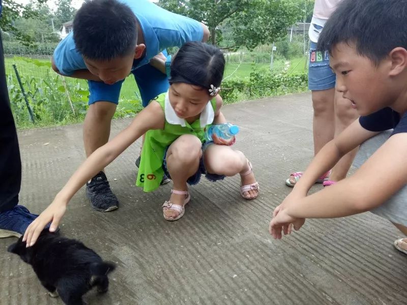 成长日记三年级下册,成长日记2026