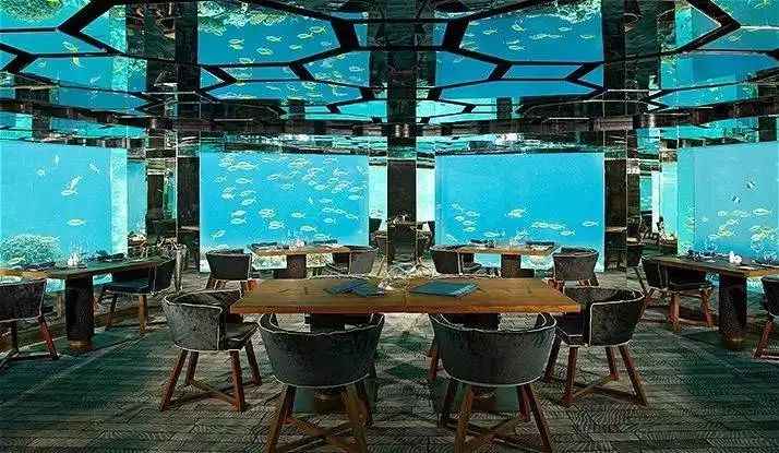 马代的正确打开方式,了解马说作者韩愈