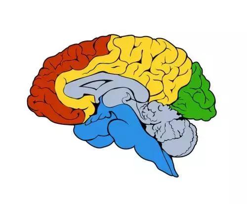 世界杯的背后,世界杯真相大揭秘