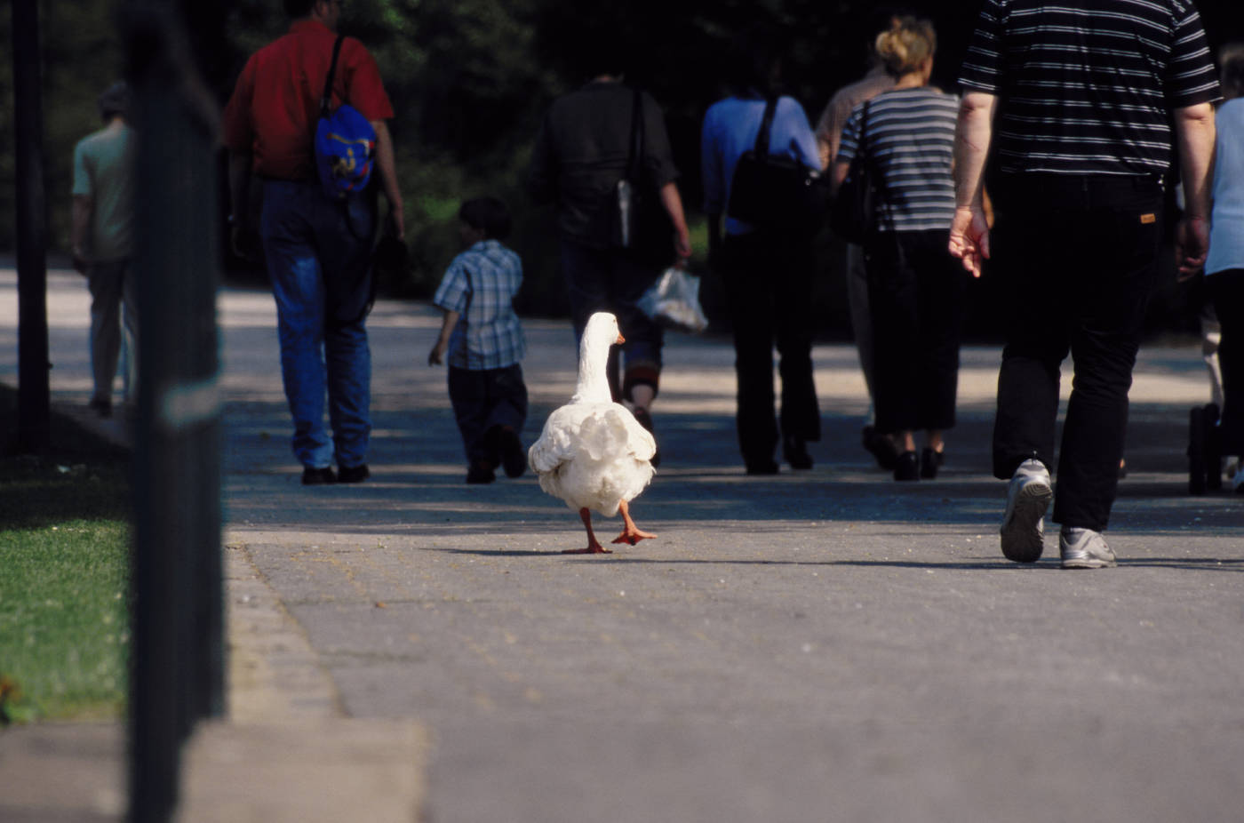 别人说metoo怎么回答,metoo另外一种说法