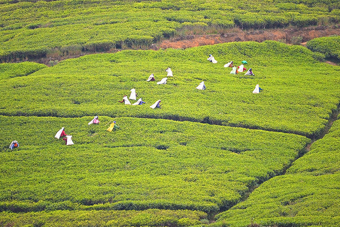 最适合旅游的世界上的海岛,世界上最休闲的海岛是什么