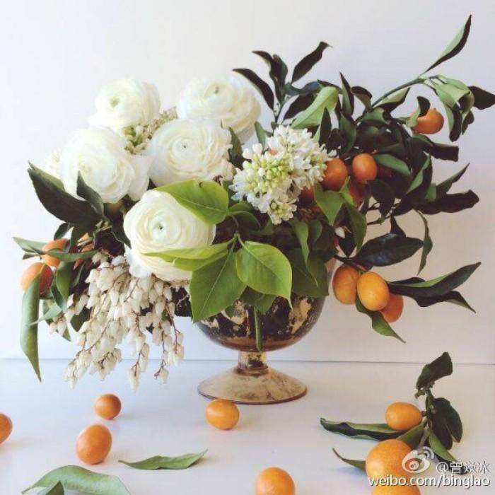 十二星座处女座和金牛座,十二星座最漂亮的插画