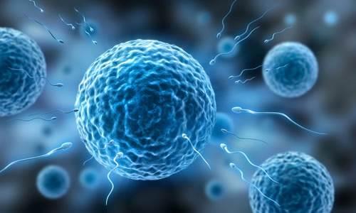 受精卵着床的瞬间,女性会有这些感觉,赶紧做好当妈的准备吧!