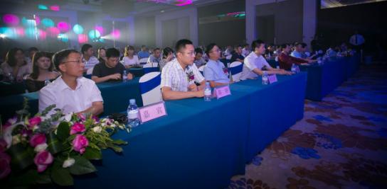 十九载伟星礼赞,为马鞍山造世界的豪宅