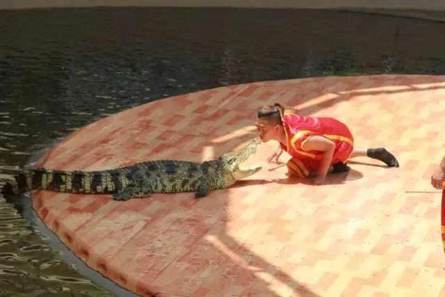 秦皇岛沙雕海洋公园门票,秦皇岛沙雕海洋乐园