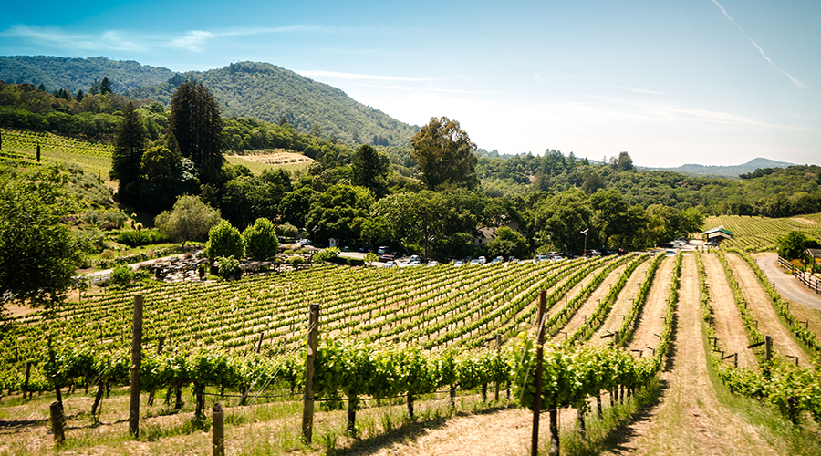 世界的尽头在哪里阿根廷,迷人的世界dj歌曲