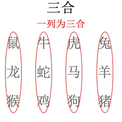 十二生肖六合与三合有什么区别,十二生肖三合和六合详解