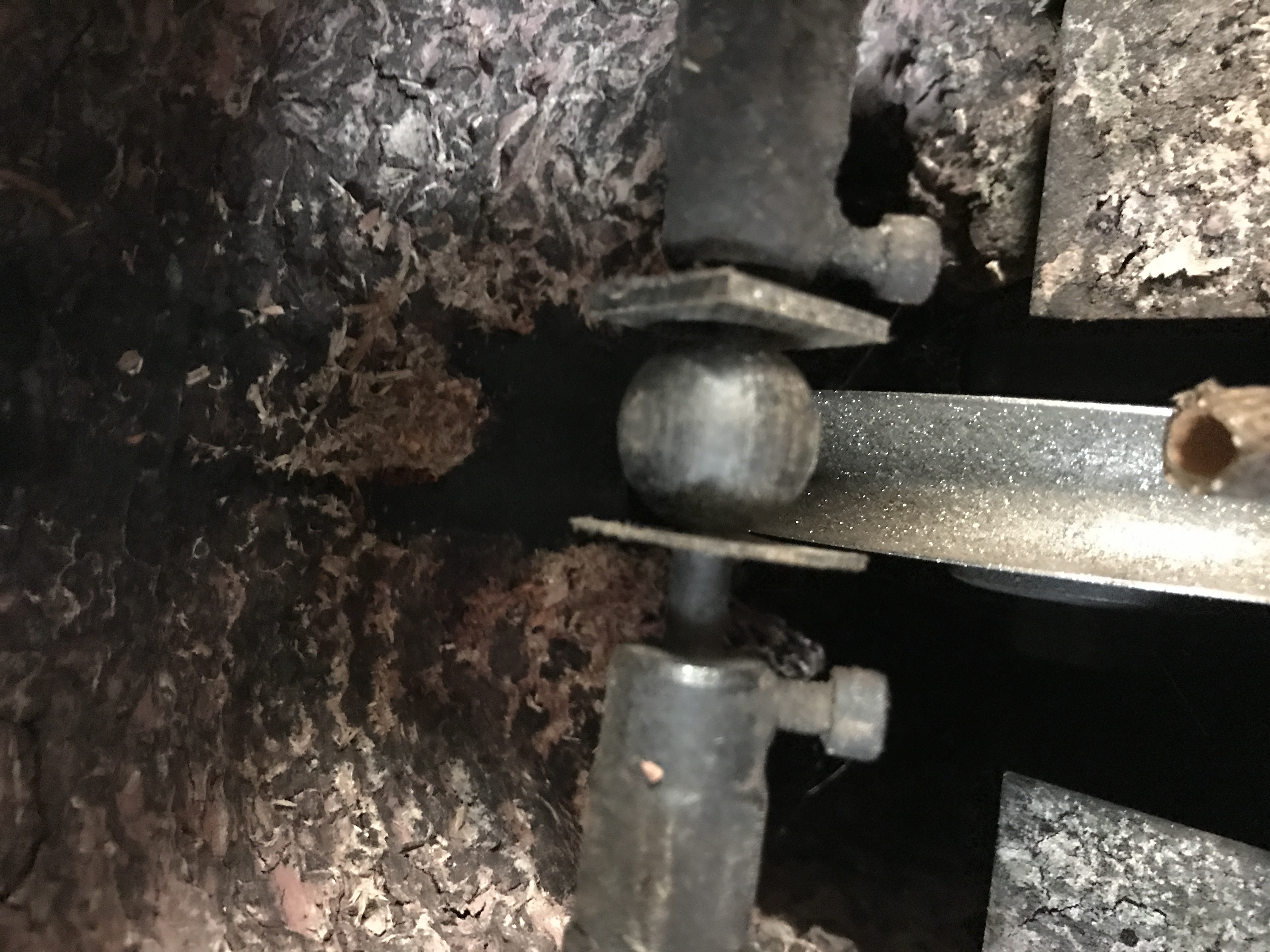 乌木佛珠手串怎么盘,手工金丝楠木佛珠手串图