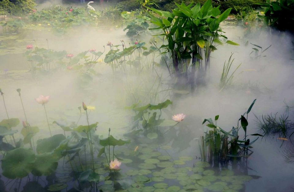 「诗词原创」褚乃艳｜莫道君心无所住红尘洗却看沉浮