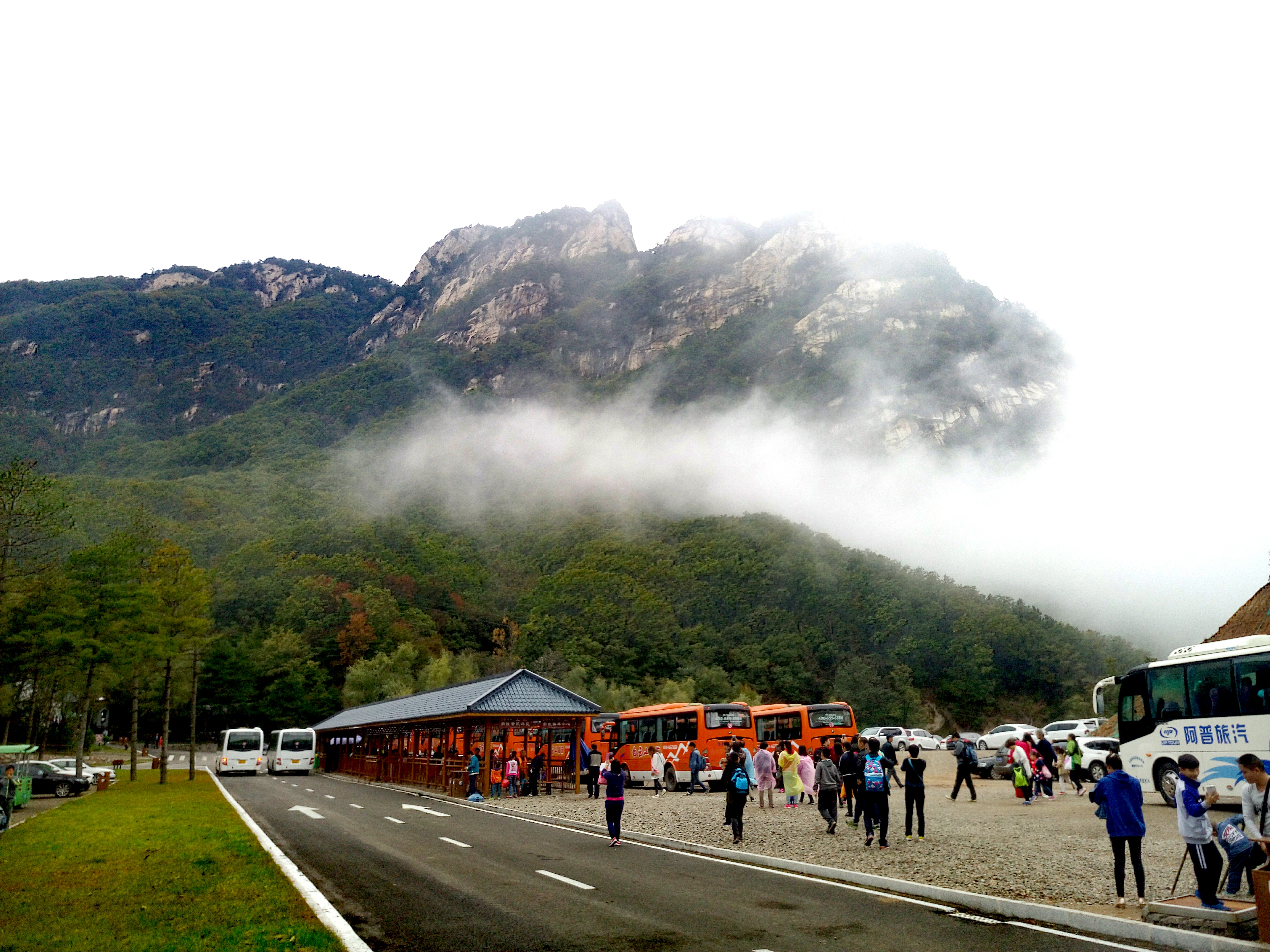 白云山森林氧吧图片,栾川白云山森林氧吧