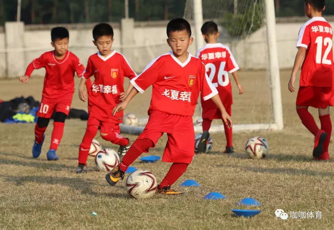 华夏青训最新动态,华夏青训发展