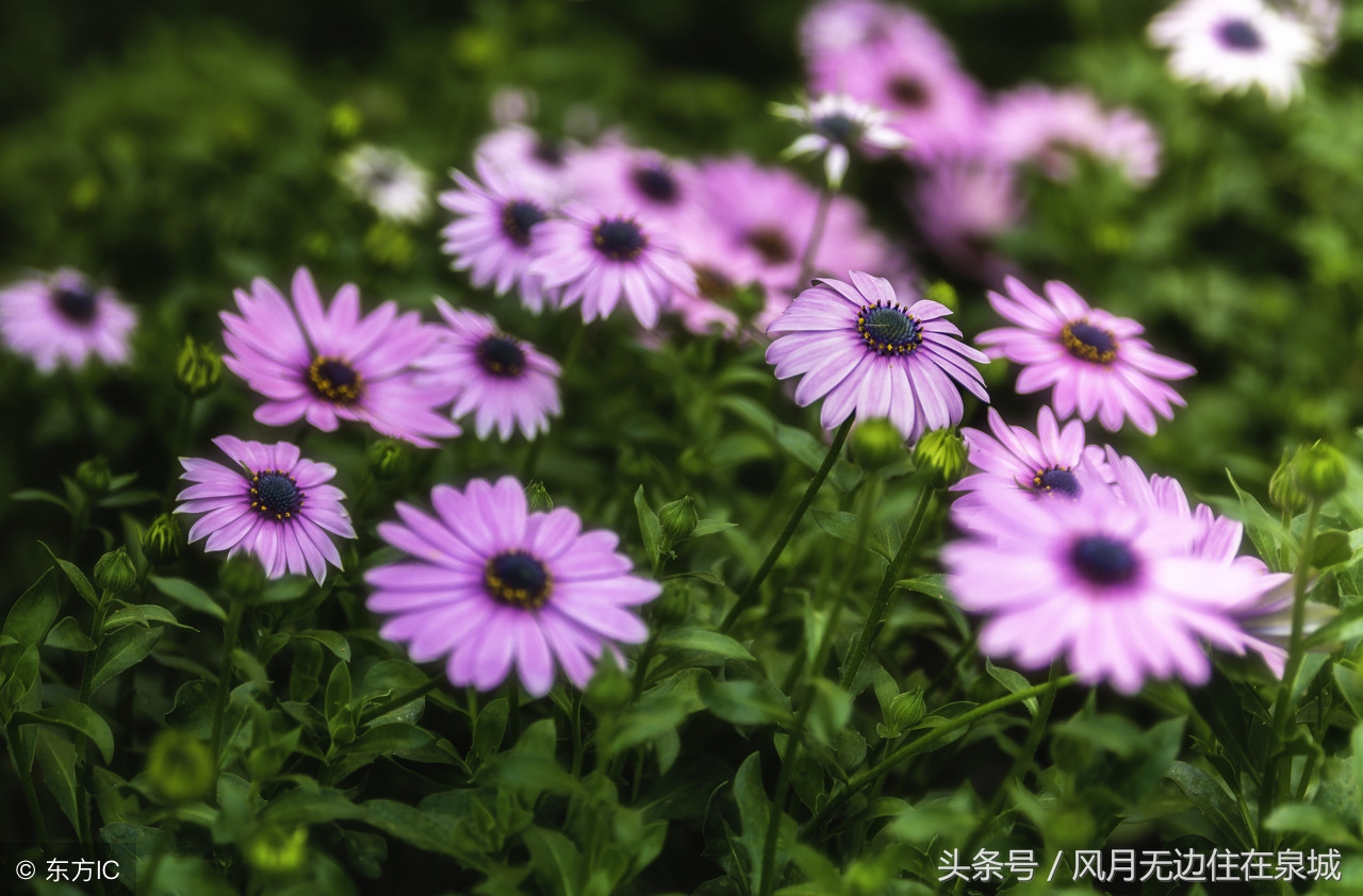 明年起哪些费用全部取消,3月1日起哪些费用全部取消