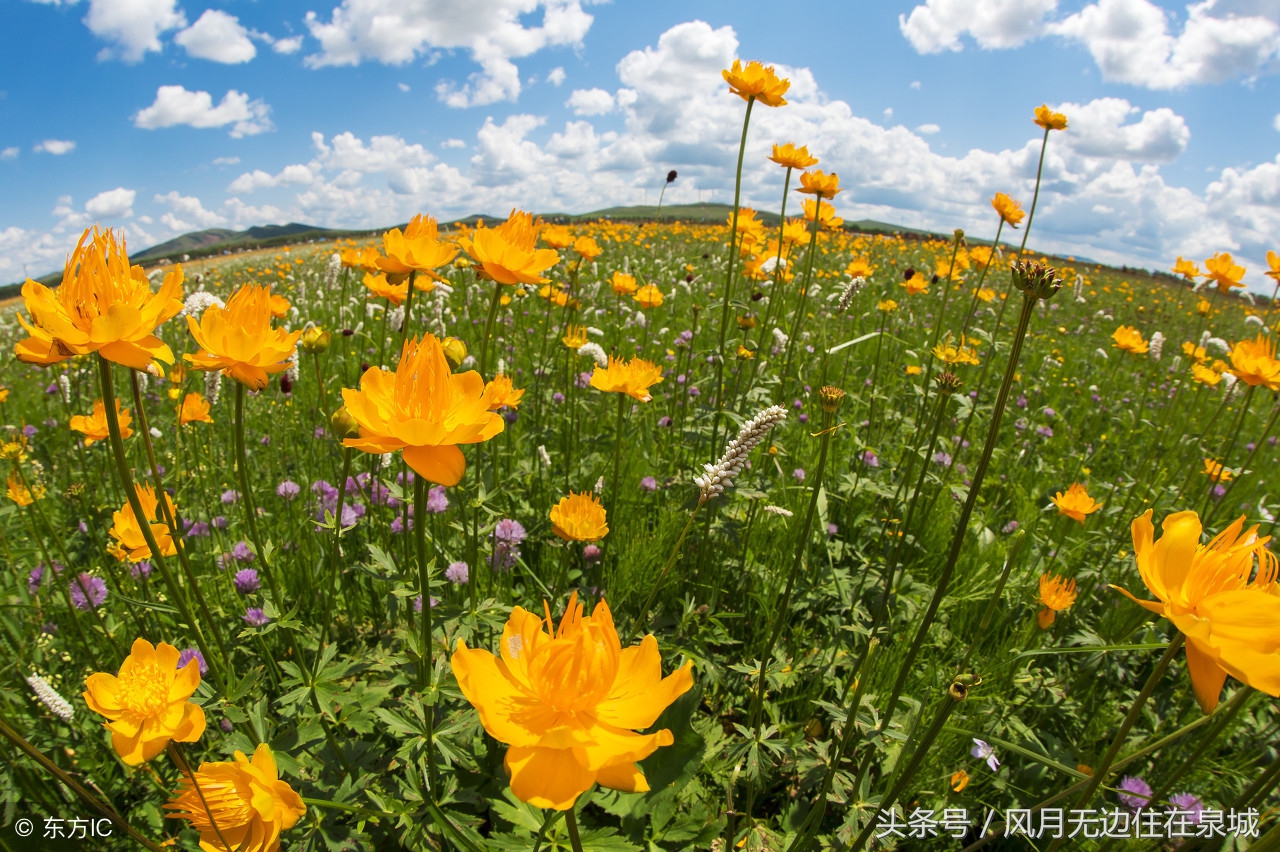 明年起哪些费用全部取消,3月1日起哪些费用全部取消