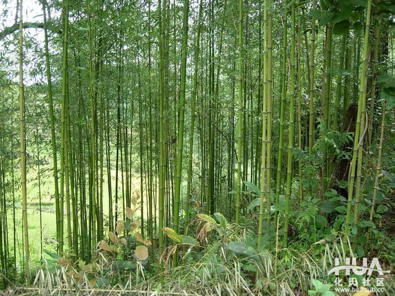 这个钓友讲述的故事，只有真正的钓鱼人才懂