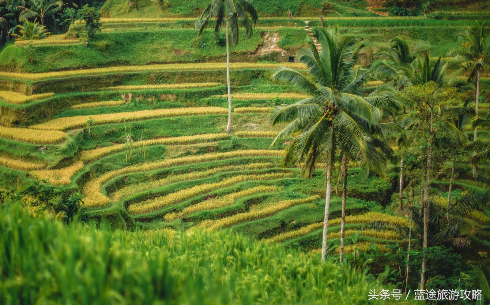 巴厘岛攻略自由行详细无火山,巴厘岛干货攻略