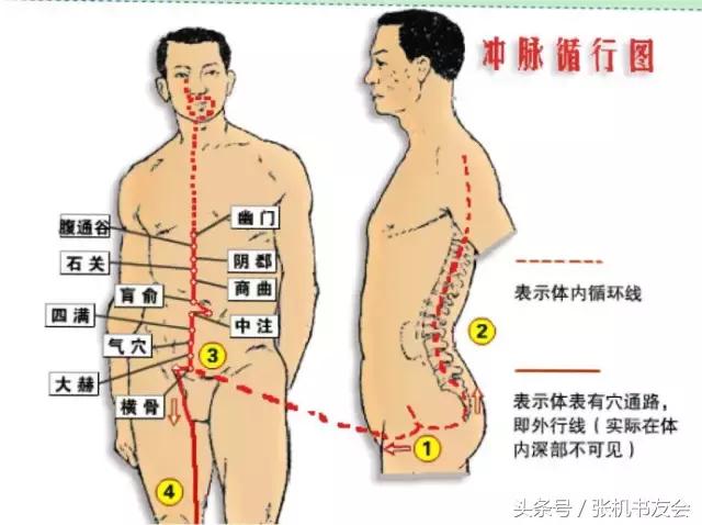 “提肛”*法大**，学会了可随时随地养生