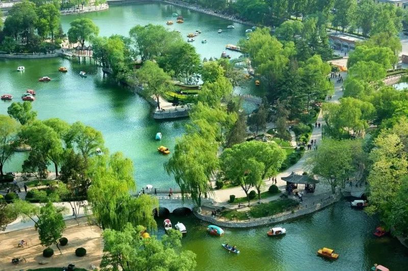 上海观景赏荷,7月赏荷花好去处