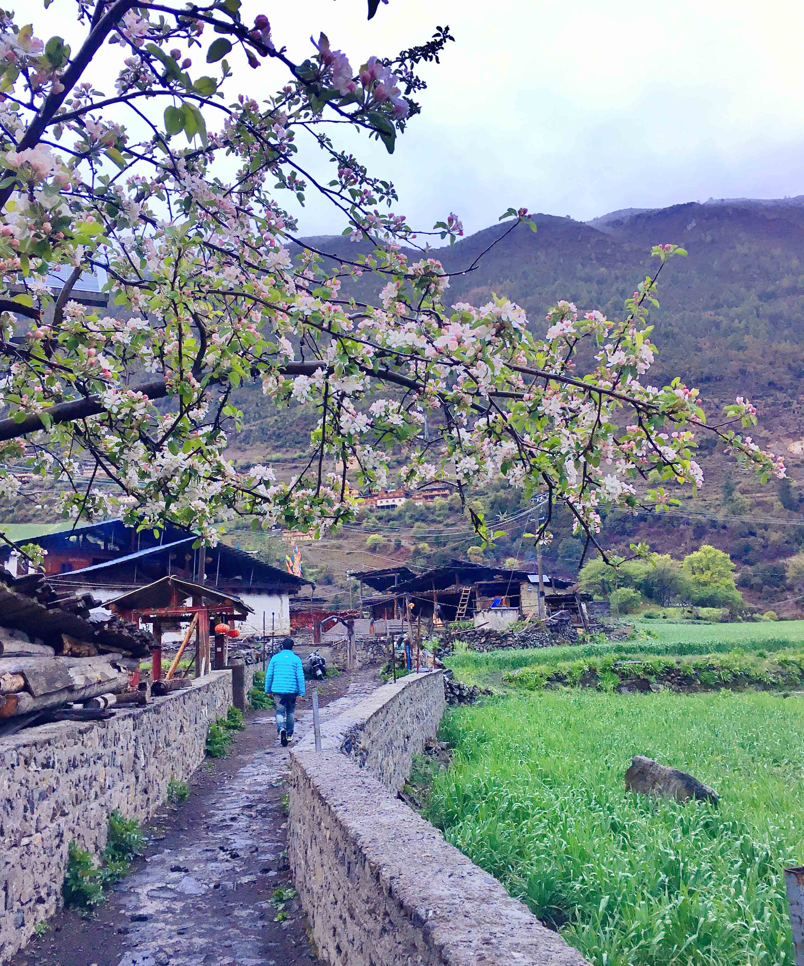 强迫症治疗一次需要多少钱,强迫症治疗一年费用多少