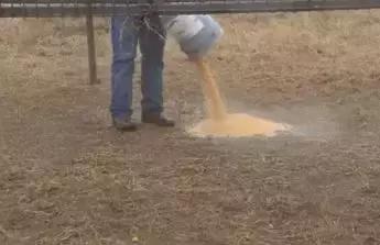 为什么说爱享365是庞氏*局骗**？