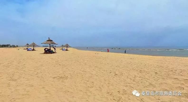秦皇岛周边口碑最好的海水浴场,秦皇岛哪个沙滩浴场最干净好玩