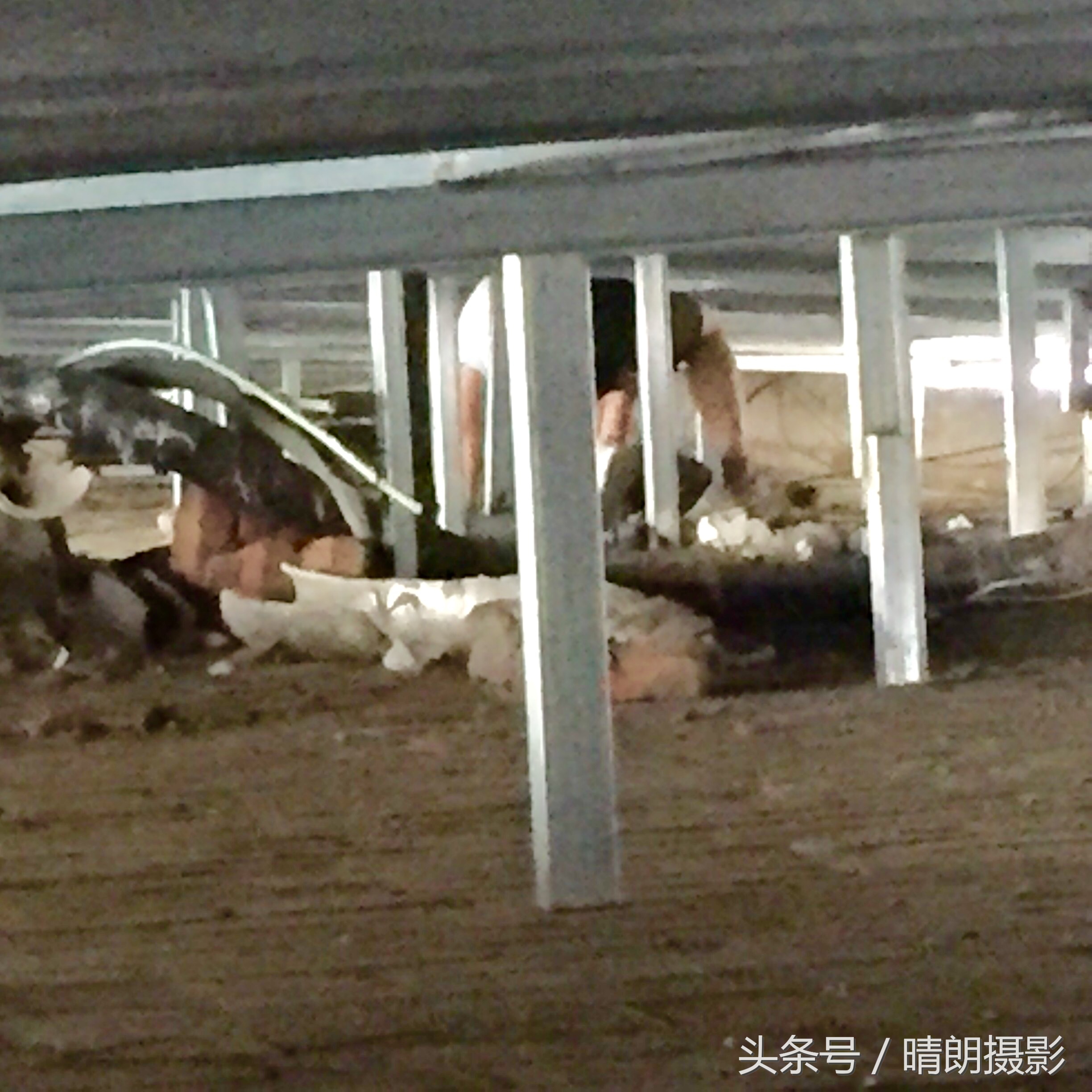 骞跨數涓烘皯鏈嶅姟,骞跨數缃戠粶鍏徃涓烘皯鏈嶅姟鏂归潰鍐呭